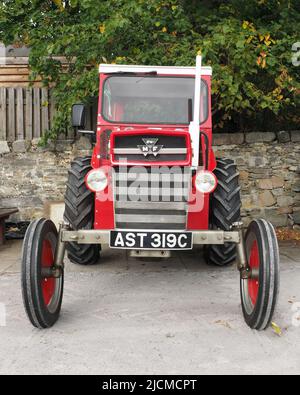Vue avant d'un ancien tracteur Massey Ferguson de type 135, stationné sur une zone de gravier avec un mur en pierre et un feuillage vert derrière. Banque D'Images