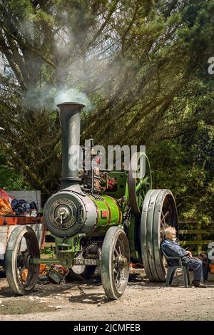 Charles Burrell & Sons Ltd Engine 3919 « Susie », construit en 1922 par Charles Burrell & Sons Ltd. Lors du Royal Cornwall Show 2022. Banque D'Images