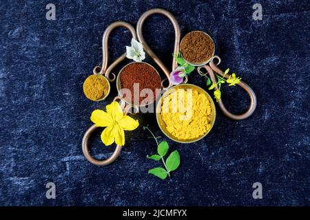 Cuillères en métal vintage avec épices moulues de poudre de Chili, de pumère, de paprika et de poudre de curry avec des fleurs fraîches de légumes fleuris sur noir avec Banque D'Images