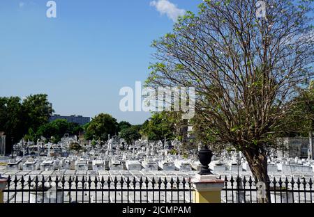 Cimetière Nekropolis de Cristobal Colon à la Havane Banque D'Images
