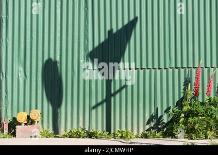 Ombre d'un panneau de vitesse et d'un panneau de rendement sur un mur vert à Ushuaia, Tierra del Fuego, Argentine Banque D'Images