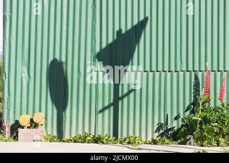 Ombre d'un panneau de vitesse et d'un panneau de rendement sur un mur vert à Ushuaia, Tierra del Fuego, Argentine Banque D'Images