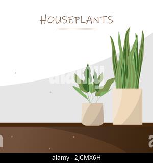 Illustration vectorielle Houseplants avec espace pour le texte. Plantes d'origine dans le pot de fleurs Illustration de Vecteur