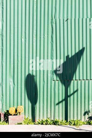 Ombre d'un panneau de vitesse et d'un panneau de rendement sur un mur vert à Ushuaia, Tierra del Fuego, Argentine Banque D'Images