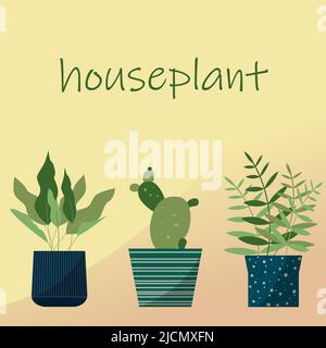 Ensemble de plantes d'origine dans le pot de fleurs. Illustration vectorielle Houseplants avec espace pour le texte Illustration de Vecteur