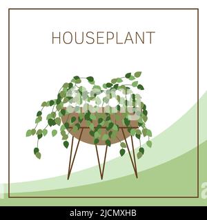 Illustration vectorielle Houseplants avec espace pour le texte. Plantes d'origine dans le pot de fleurs Illustration de Vecteur