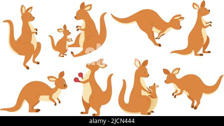 Mascotte kangourou de dessin animé. Saut d'animaux australiens, kangourous dans différents poses vecteur ensemble Illustration de Vecteur