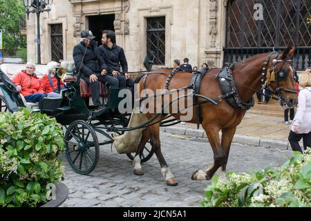 Palma de Mallorca, Mallorca, Espagne - 05.03.2022: Touristes en calèche ouvert dans les rues de Palma Banque D'Images