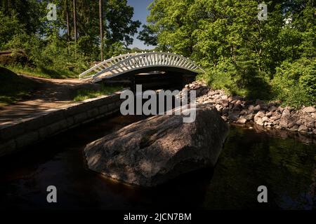 Pont sur la rivière forestière. Photo de haute qualité Banque D'Images