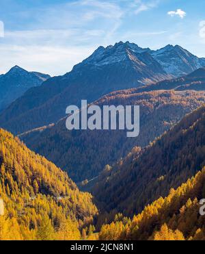 Paysage aérien avec des pentes de montagne couvertes de forêt, sommets enneigés en arrière-plan le jour ensoleillé de l'automne, Alpes, Autriche Banque D'Images