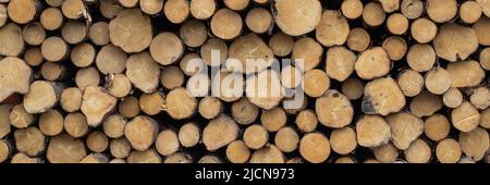 Panorama d'une pile de billes de bois coupées dans une cour lombaire Banque D'Images