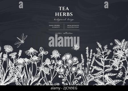 Motif d'illustration à la main représentant des herbes de thé. Arrière-plan avec camomille à la craie, rose cannelle, etc Illustration de Vecteur
