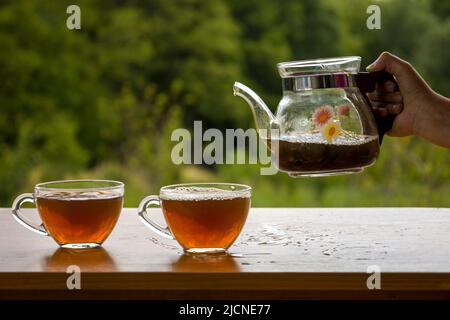 Théière avec une tasse de thé transparente dans la nature Banque D'Images