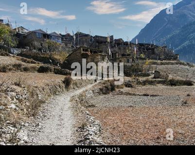 L'escalade du pic de Pisang, l'un des plus célèbres sommets de la région d'Annapurna, se trouve sur le chemin du plus haut col du monde. Banque D'Images