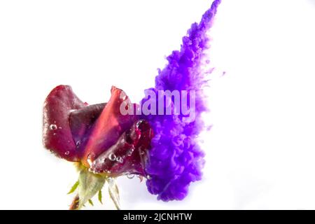 Goutte de couleur dans l'eau isolée sur fond blanc Banque D'Images