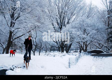 Une jeune femme marche son chien lors d'une journée froide d'hiver à la suite d'une tempête de neige dans Central Park de New York Banque D'Images