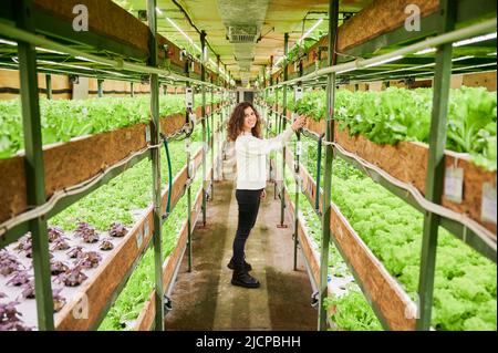Pleine longueur de jeune femme joyeuse atteignant la main à des verts verdoyants et souriant en se tenant dans l'allée entre les étagères avec des plantes. Femme regardant les plantes vertes en serre. Banque D'Images
