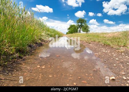 Une flaque sur un chemin poussiéreux dans le champ le jour du printemps. Banque D'Images