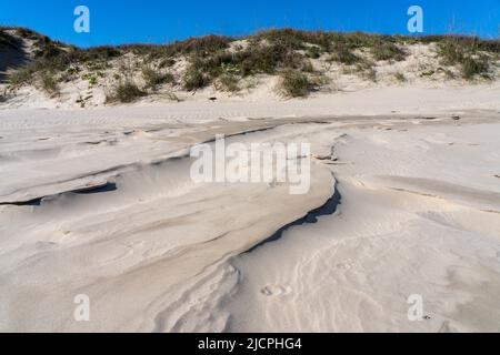 Les vagues de marée haute laissées dans le sable en face des foredunes sur South Padre Island, Texas. Banque D'Images