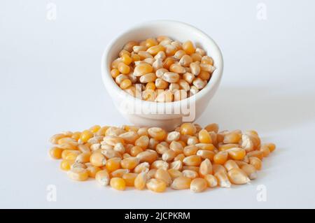 Vue en profil des grains de maïs secs crus pour le maïs soufflé, des graines de grain jaune de maïs 'Zea Mays' dans une tasse blanche et isolées sur fond blanc Banque D'Images