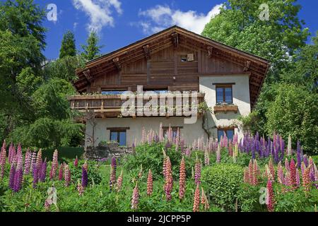 France, haute-Savoie Cottage fleuri, massif du Mont blanc Banque D'Images