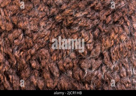Macro de rose gris jeune alpaga laine ou fibre - Lama pacos Banque D'Images