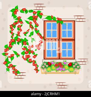 Fenêtre de la maison avec fleurs en pot et plante d'escalade. Fenêtre vintage décorée de fleurs. Façade de la maison. Plantes dans des cachepots sur le rebord de la fenêtre. Vecteur Illustration de Vecteur