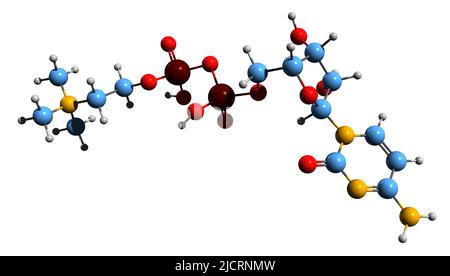 3D image de la formule squelettique de la citicoline - structure chimique moléculaire du CDP-choline isolé sur fond blanc Banque D'Images