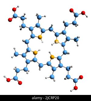 3D image de formule squelettique Coproporphyrinogen I - structure chimique moléculaire du métabolite isolé sur fond blanc Banque D'Images