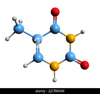 3D image de la formule squelettique de la thymine - structure chimique moléculaire du 5-méthyluracile isolé sur fond blanc, Banque D'Images