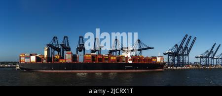 Harwich, Angleterre - 10 juin 2022 : vue panoramique d'un gros navire à conteneurs chargé dans le port industriel de Harwich, sur la côte de la mer du Nord de l'Eng Banque D'Images