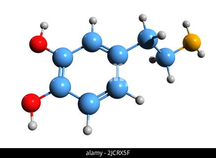 3D image de la formule squelettique de la dopamine - structure chimique moléculaire de l'oxytyramine isolée sur fond blanc Banque D'Images