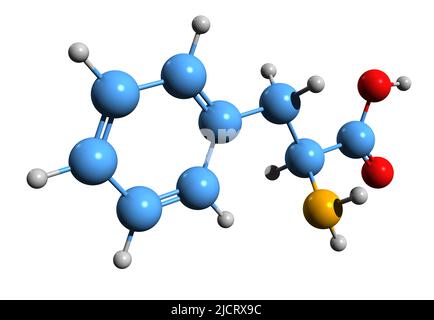 3D image de la formule squelettique de la phénylalanine - structure chimique moléculaire de l'acide aminé essentiel isolé sur fond blanc Banque D'Images