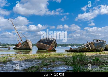 PIN Mill, Angleterre - 11 juin 2022 : vue sur le cimetière de bateaux de PIN Mill sur l'Orwell dans le Suffolk à marée basse Banque D'Images