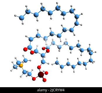 3D image de la formule squelettique 1-oléoyl-2-palmitoyl-phosphatidylcholine - structure chimique moléculaire de la phosphatidylcholine isolée sur le bacro blanc Banque D'Images