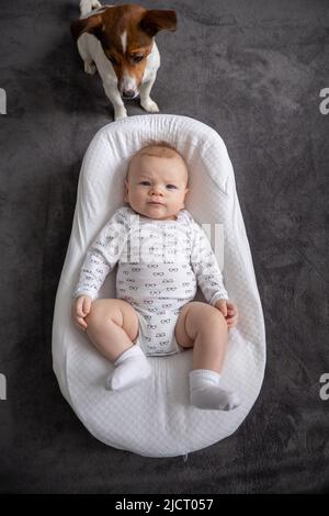 bébé est dans un confortable cocon orthopédique à côté du chien Banque D'Images