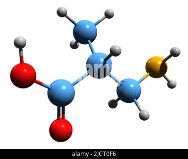 3D image de la formule squelettique de l'acide 3-aminoisobutyrique - structure chimique moléculaire de BAIBA isolé sur fond blanc Banque D'Images