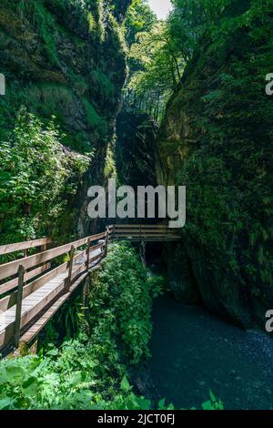 im Alploch in Dornbirn führt ein Steg durch die enge Schlucht. Stimmungsvoller Blick, mit bauem Wasser und grünen Pflanzen zwischen den harten Felsen Banque D'Images