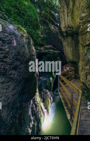 im Alploch in Dornbirn führt ein Steg durch die enge Schlucht. Stimmungsvoller Blick, mit bauem Wasser und grünen Pflanzen zwischen den harten Felsen Banque D'Images