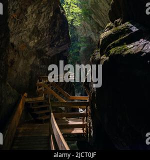 im Alploch in Dornbirn führt ein Steg durch die enge Schlucht. Stimmungsvoller Blick, mit bauem Wasser und grünen Pflanzen zwischen den harten Felsen Banque D'Images