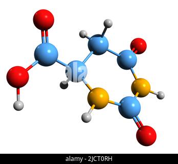 3D image de la formule squelettique de l'acide 4,5-dihydroorotique - structure chimique moléculaire de l'intermédiaire dans la biosynthèse de la pyrimidine isolée sur le dos blanc Banque D'Images