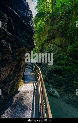 im Alploch in Dornbirn führt ein Steg durch die enge Schlucht. Stimmungsvoller Blick, mit bauem Wasser und grünen Pflanzen zwischen den harten Felsen Banque D'Images