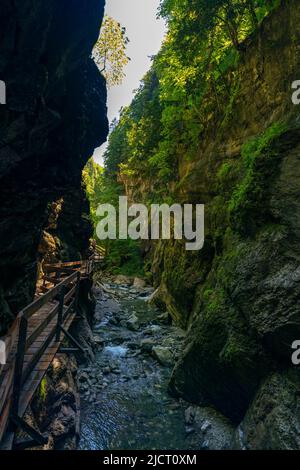 im Alploch in Dornbirn führt ein Steg durch die enge Schlucht. Stimmungsvoller Blick, mit bauem Wasser und grünen Pflanzen zwischen den harten Felsen Banque D'Images