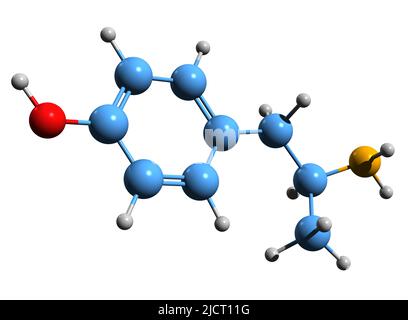 3D image de la formule squelettique 4-hydroxyamphétamine - structure chimique moléculaire de 4HA isolée sur fond blanc Banque D'Images