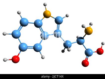 3D image de la formule squelettique 5-hydroxytryptophane - structure chimique moléculaire du 5-htp isolé sur fond blanc Banque D'Images