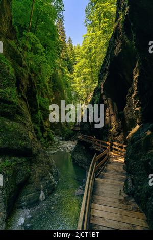 im Alploch in Dornbirn führt ein Steg durch die enge Schlucht. Stimmungsvoller Blick, mit bauem Wasser und grünen Pflanzen zwischen den harten Felsen Banque D'Images