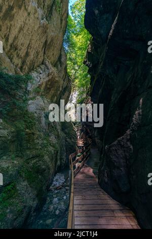 im Alploch in Dornbirn führt ein Steg durch die enge Schlucht. Stimmungsvoller Blick, mit bauem Wasser und grünen Pflanzen zwischen den harten Felsen Banque D'Images