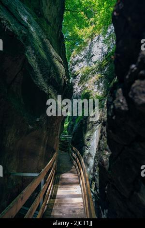 im Alploch in Dornbirn führt ein Steg durch die enge Schlucht. Stimmungsvoller Blick, mit bauem Wasser und grünen Pflanzen zwischen den harten Felsen Banque D'Images