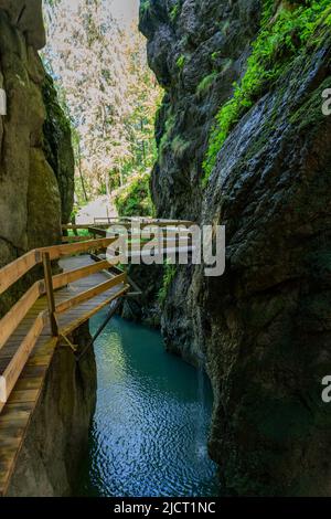 im Alploch in Dornbirn führt ein Steg durch die enge Schlucht. Stimmungsvoller Blick, mit bauem Wasser und grünen Pflanzen zwischen den harten Felsen Banque D'Images