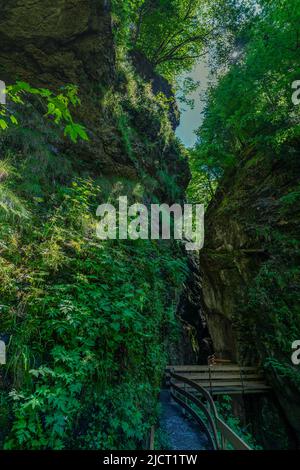 im Alploch in Dornbirn führt ein Steg durch die enge Schlucht. Stimmungsvoller Blick, mit bauem Wasser und grünen Pflanzen zwischen den harten Felsen Banque D'Images